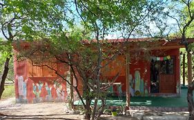 Jardin de Estrellas